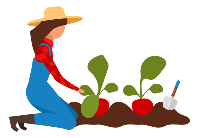 Female farmer collecting harvest  Illustration