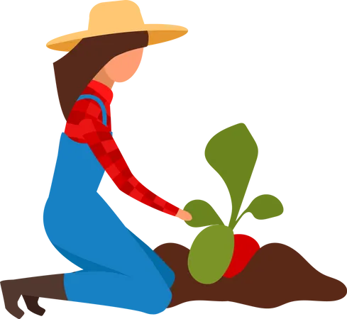 Female farmer digging up ripe beetroots Illustration