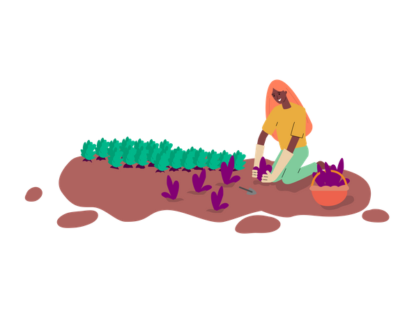 Female farmer doing plantation  Illustration