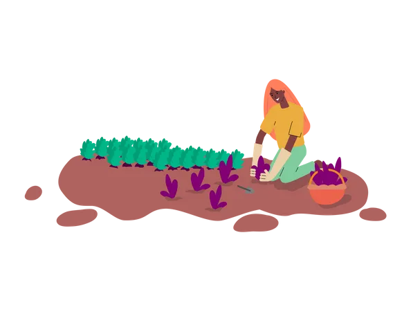 Female farmer doing plantation  Illustration