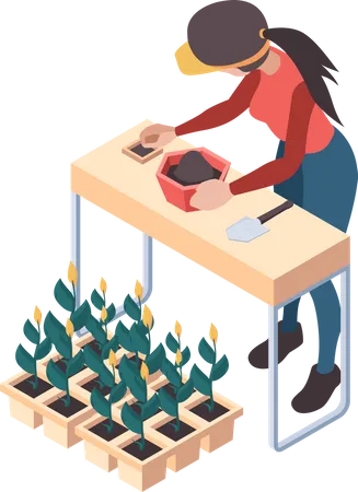 Female farmer doing planting process  Illustration