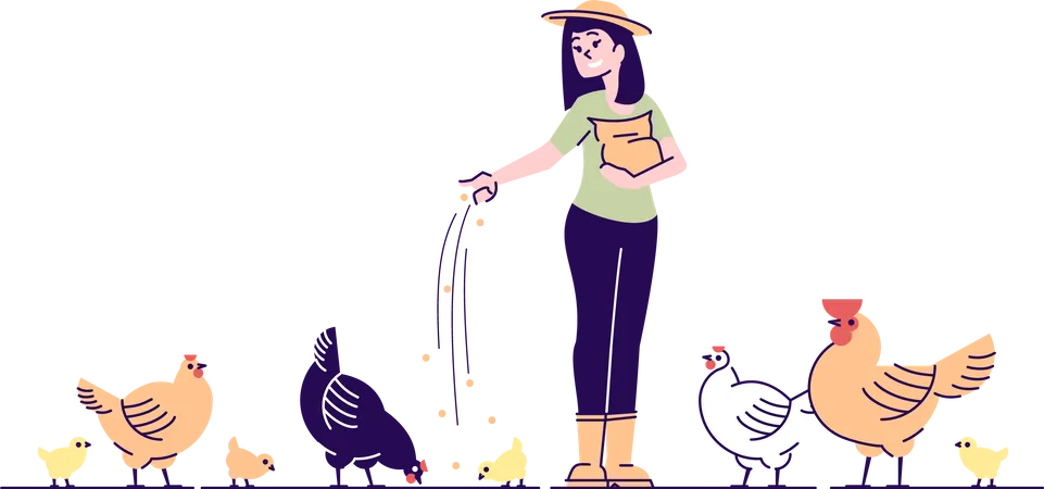 Female Farmer Feeding Chickens Flat Vector Character Poultry Backyard Farm Cartoon Concept With Outline Hens Rooster And Chicks Pecking Grain Poultry Breeding Rural Hennery Bird Agriculture Illustration