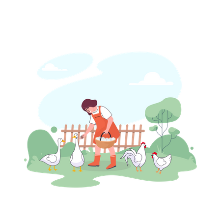 Female farmer feeding chickens  イラスト