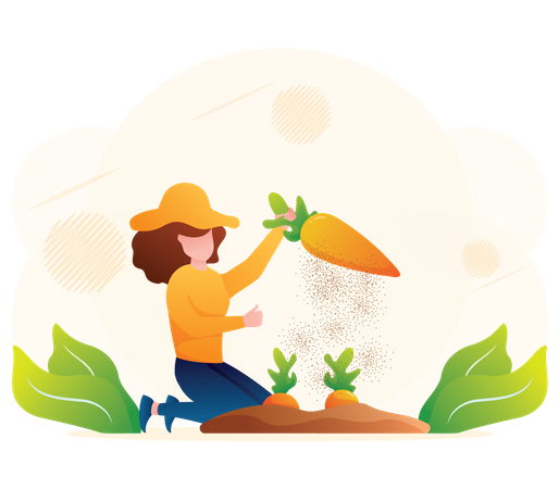 Female farmer harvesting carrot  Illustration