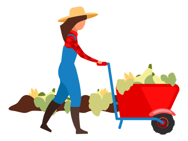 Female farmer harvesting crops  Illustration