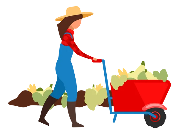 Female farmer harvesting crops  Illustration