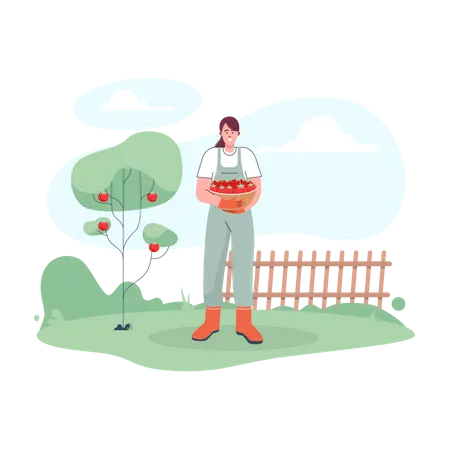 Female farmer harvesting fresh apples Illustration