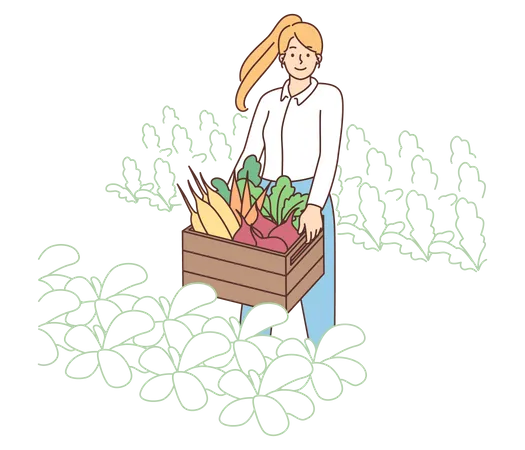 Female farmer holding vegetables basket  Illustration