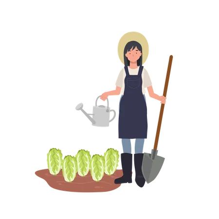 Agricultural Concept Female Farmer With Vegetable Chinese Cabbage Farmer Holding Watering Can And Shovel Flat Vector Cartoon Character Illustration Illustration