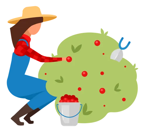 Female farmer picking berries Illustration