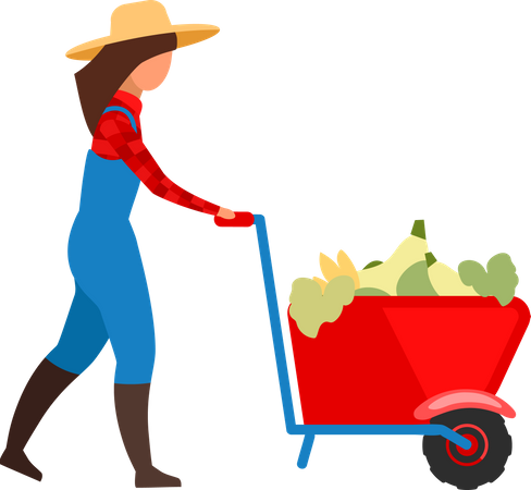 Female farmer transporting vegetables in wheelbarrow  Illustration