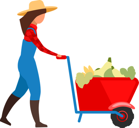 Female farmer transporting vegetables in wheelbarrow  Illustration