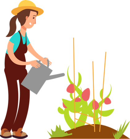 Female farmer watering plant  Illustration