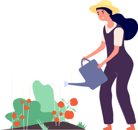 Female farmer watering plant  Illustration