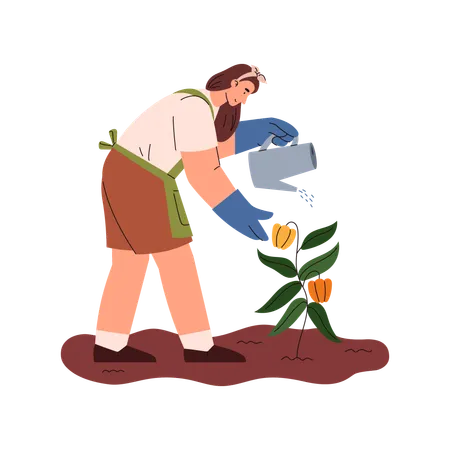 Farmer Or Gardener Female Character Watering Plant With Watercan Flat Cartoon Vector Illustration Isolated On White Background Woman Farmer Doing Agricultural Work Illustration