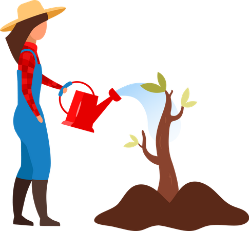 Female farmer watering sapling  Illustration