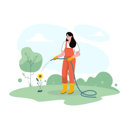 Female farmer watering sunflower plant  Illustration