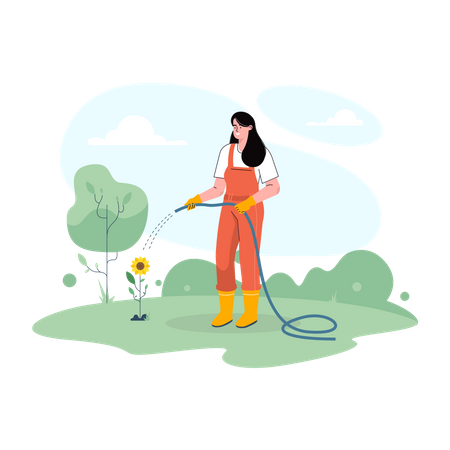 Female farmer watering sunflower plant  Illustration