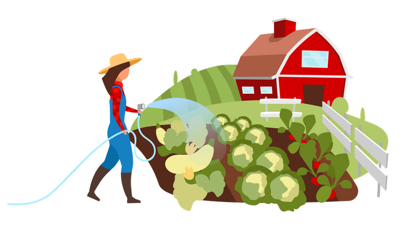 Female farmer watering vegetable garden  Illustration