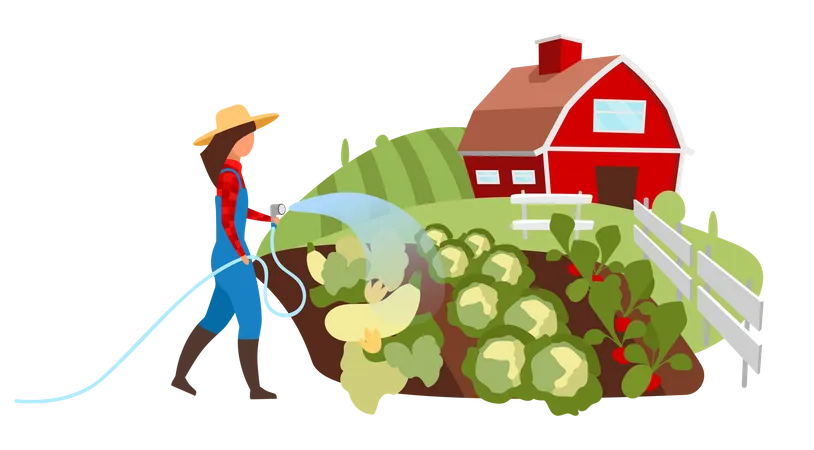 Female farmer watering vegetable garden  Illustration