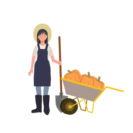 Woman Farmer With A Cart Of Pumpkin Fresh Harvest Concept Flat Vector Cartoon Character Illustration Illustration
