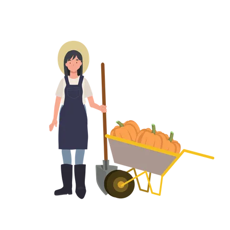 Female farmer with a cart of pumpkin  Illustration