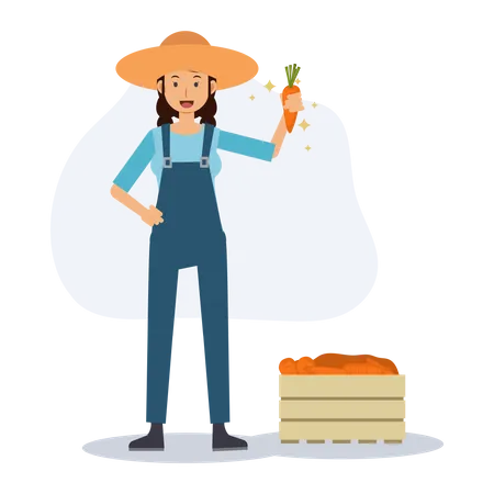 Female farmer with box of carrot  Illustration