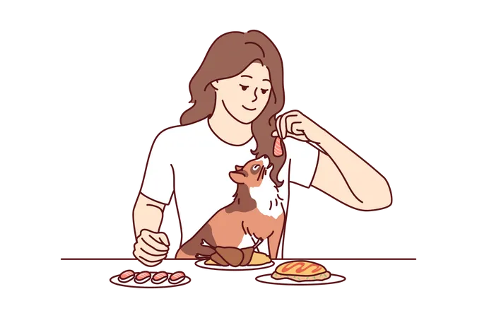 Female feeding food for cats  Illustration