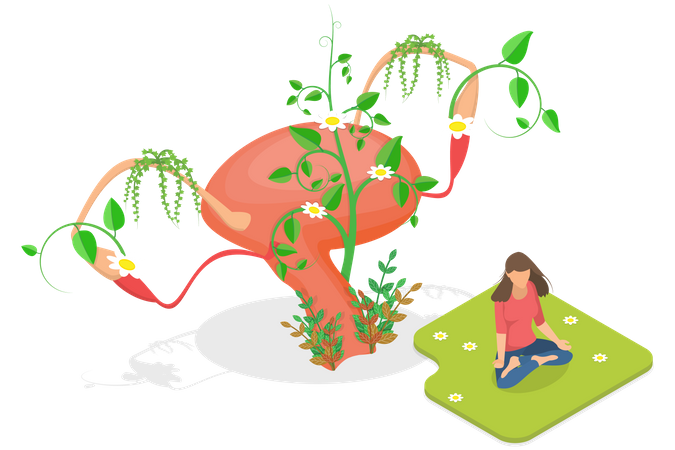 Female Fertility  イラスト