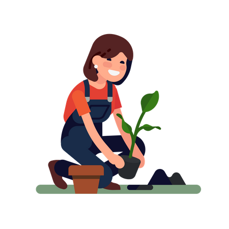 Female gardener is planting a small plant into the ground  Illustration