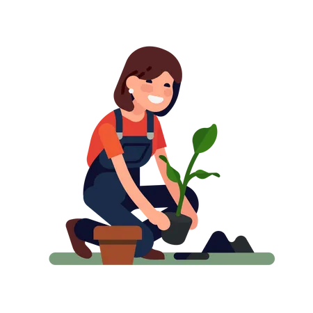 Female gardener is planting a small plant into the ground  Illustration