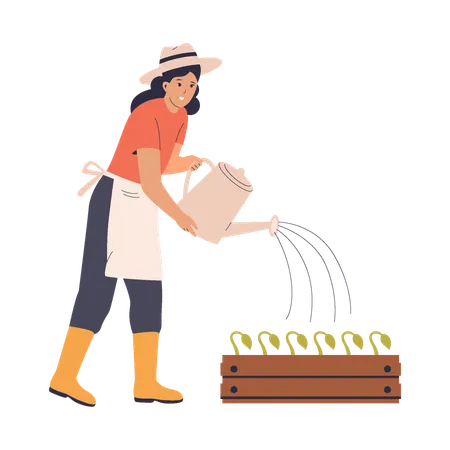 Female Gardener Watering Plants  Illustration