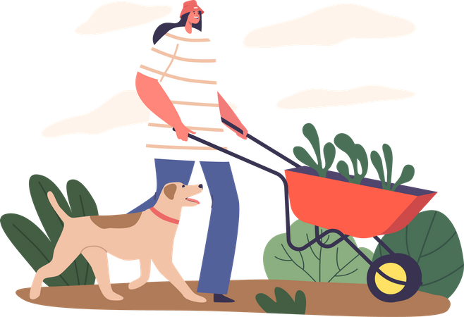 Female gardener with a wheelbarrow  Illustration