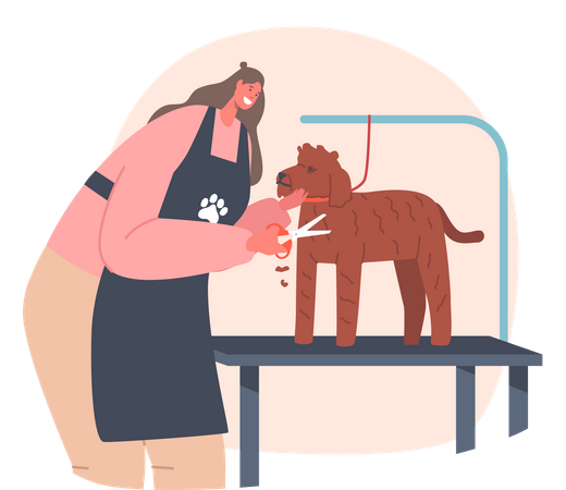 Female hairdresser cutting dog hairs Illustration