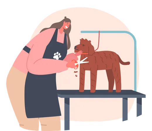 Female hairdresser cutting dog hairs Illustration
