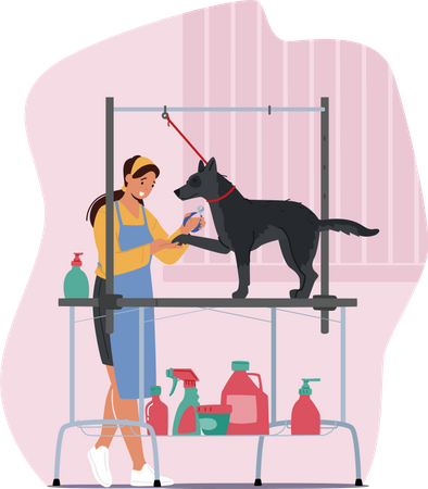 Female Hairdresser Cutting Dogs Talons with Clippers in Salon  Illustration