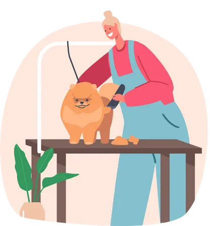 Hairdresser Female Character Trimming Cute Spitz Dog At Groomer Salon Pet Hair Styling And Grooming Shop Store For Dogs Care Professional Service For Animals Cartoon People Vector Illustration Illustration