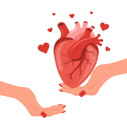 Female hand donation human heart  Illustration