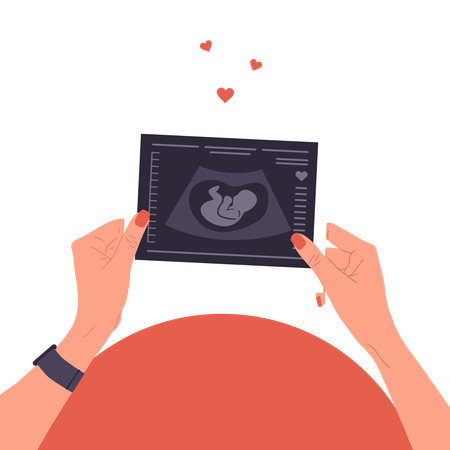 Female Hands Holding Fetus Sonography report  Illustration