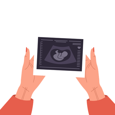 Female Hands Holding Fetus Sonography report  Illustration