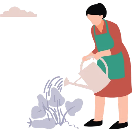 The Female Is Watering The Plants Illustration