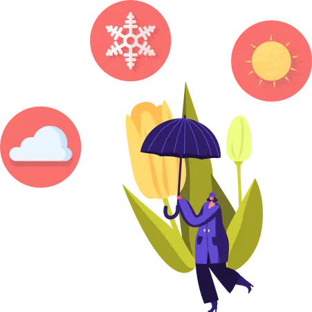 Cold And Freezing Spring Weather Concept Tiny Female Character Carry Huge Umbrella With Snowflake Cloud And Sun At Blooming Tulip Flower And Low Temperature Outside Cartoon Vector Illustration Illustration