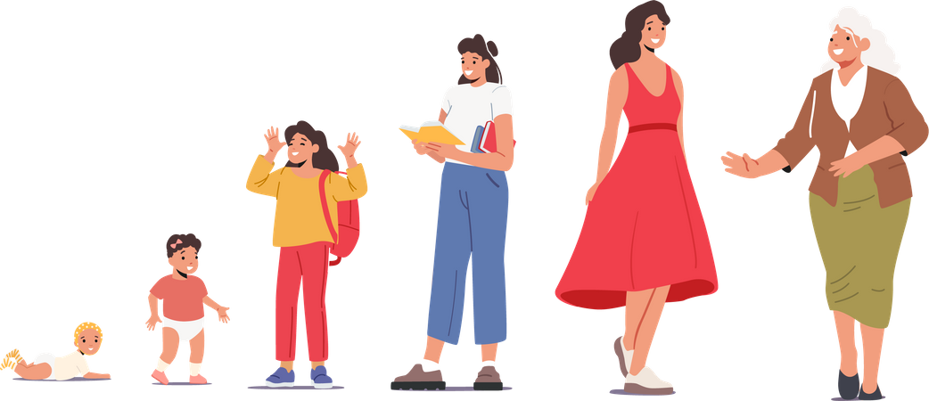 Female life cycle  イラスト