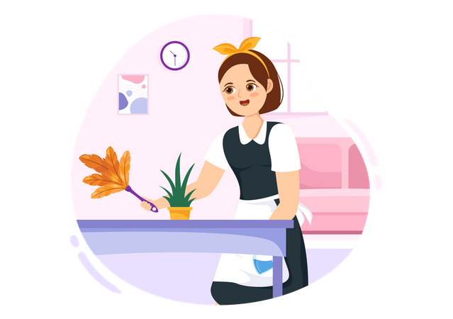 Female maid dusting table  Illustration