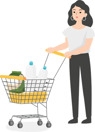 Female manager doing grocery shopping Illustration