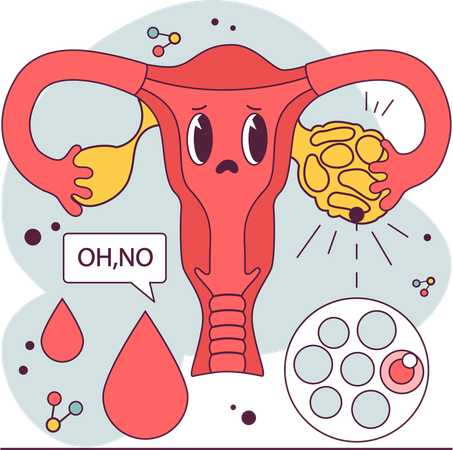 Female reproductive system  イラスト
