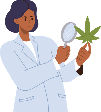 Female scientist doctor studying cannabis  Illustration