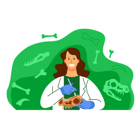 Female scientist work on dinosaur fossil research  Illustration