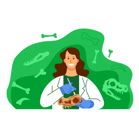 Female Scientist Work On Dinosaur Fossil Research Flat Illustration Illustration