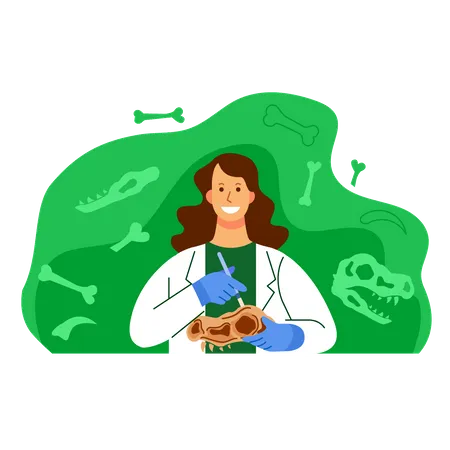 Female scientist work on dinosaur fossil research  Illustration